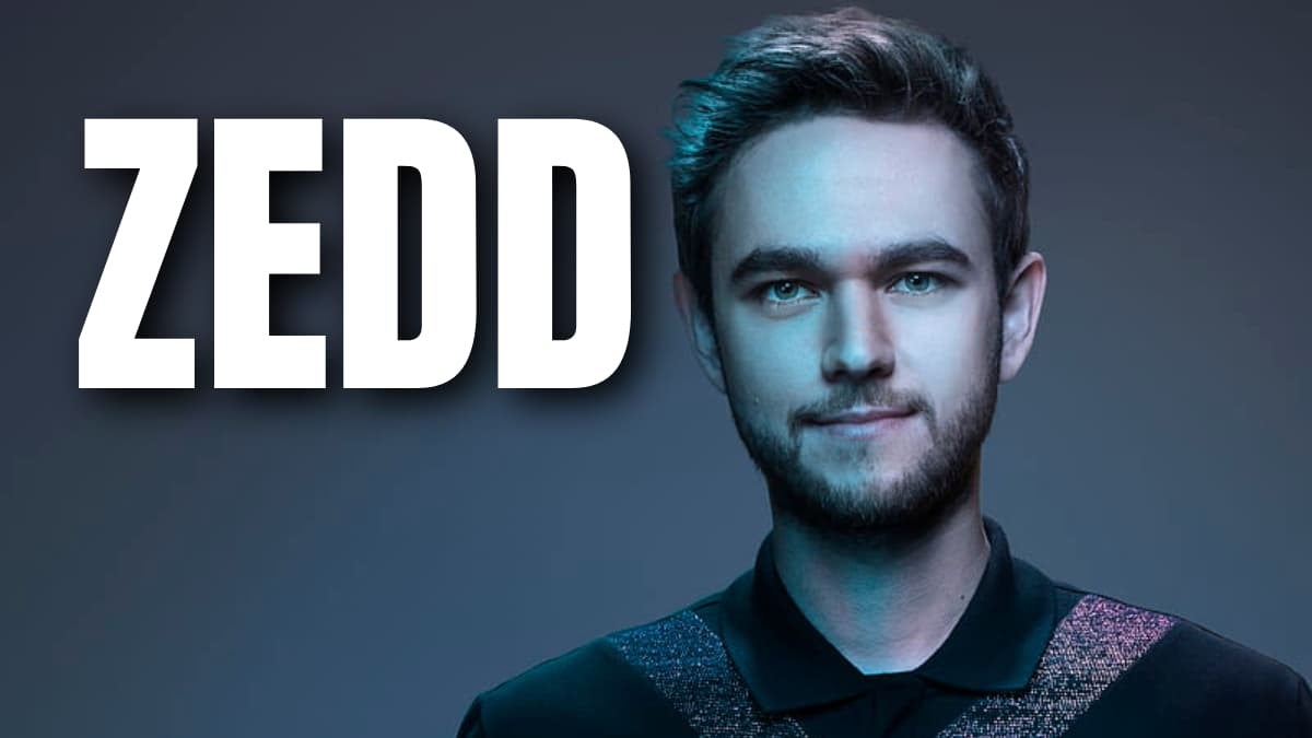 Zedd net worth